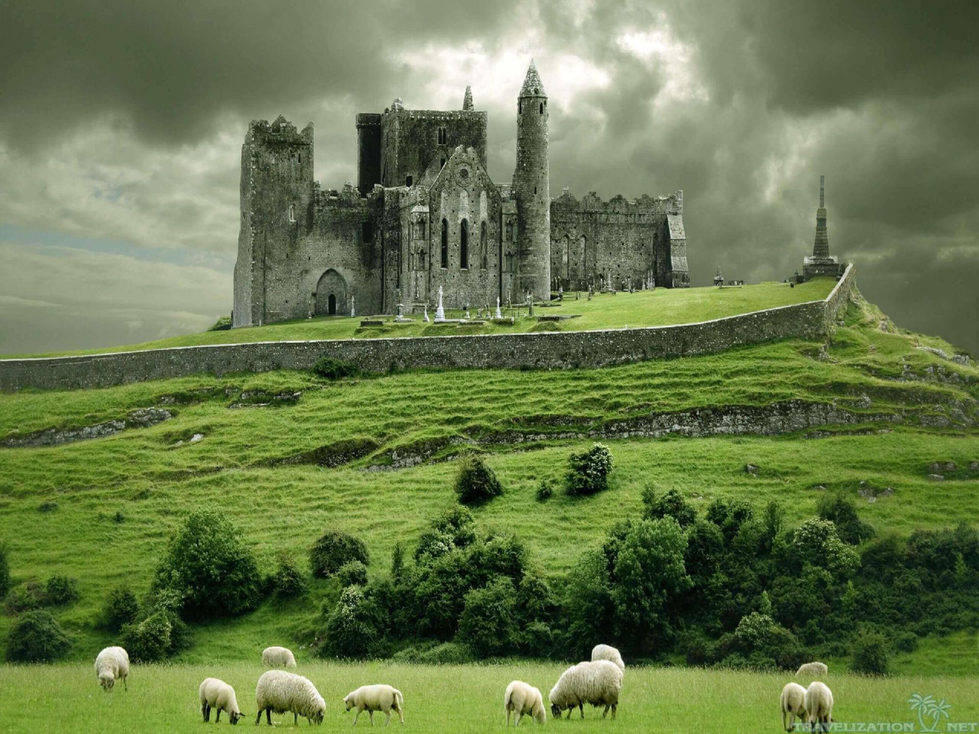Irlandese