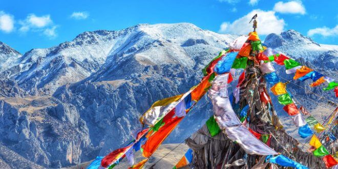 Tibetano